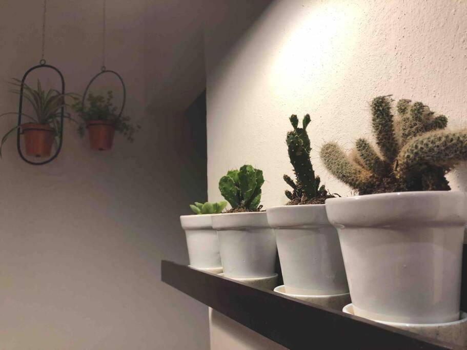 Apartaestudio#8 Aire Acondicionado Laborcillas المظهر الخارجي الصورة