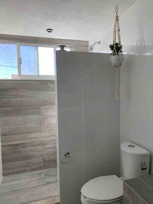 Apartaestudio#8 Aire Acondicionado Laborcillas المظهر الخارجي الصورة